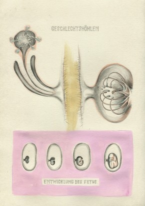 Homo Plantae