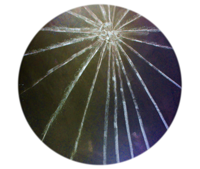 ABIOTISMUS 3 / Materie #2, Filmstill