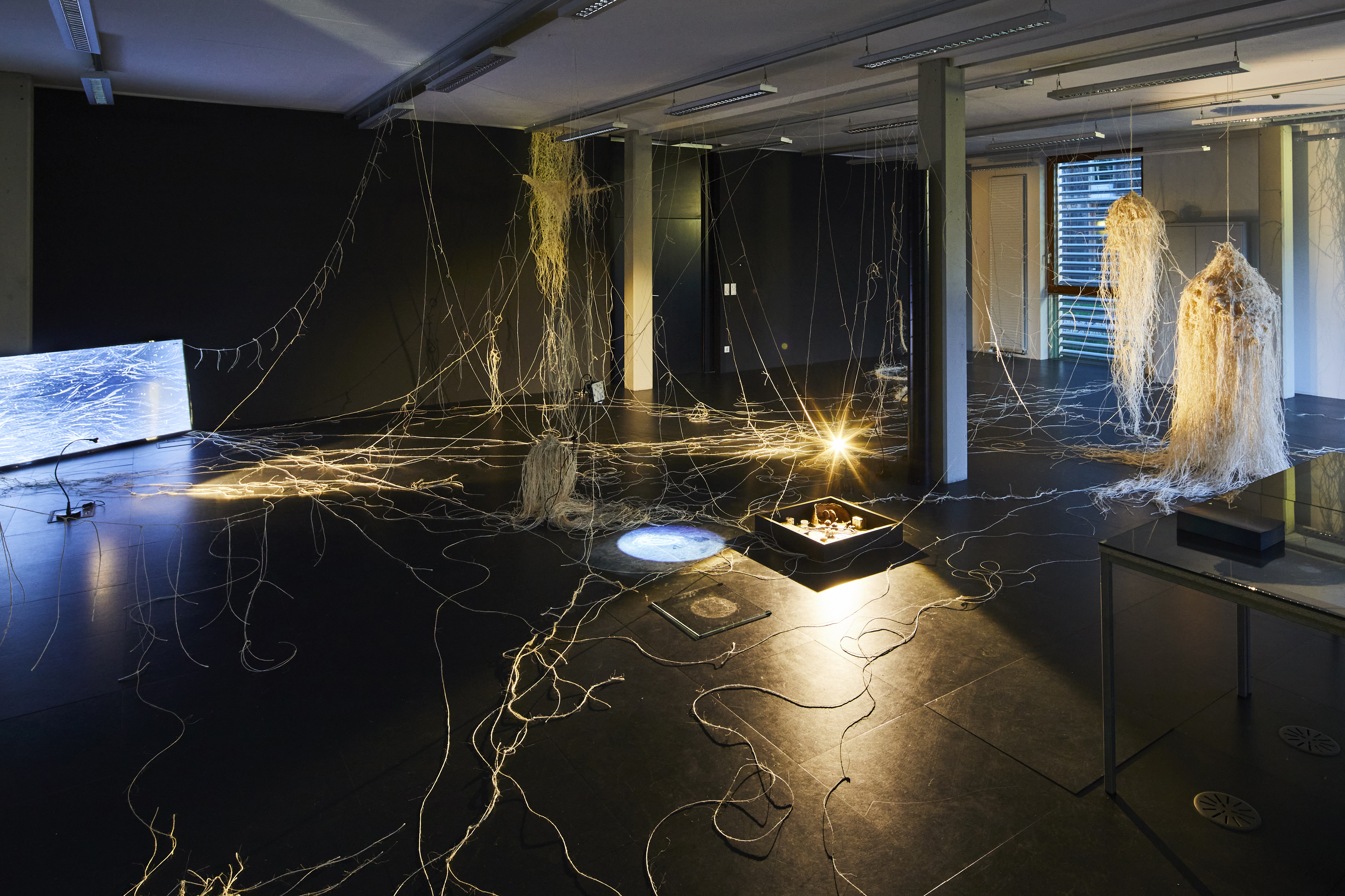 Interbeing, installation, Kunstraum Lakeside, Klagenfurt, 2022. Photo: ©Johannes Puch