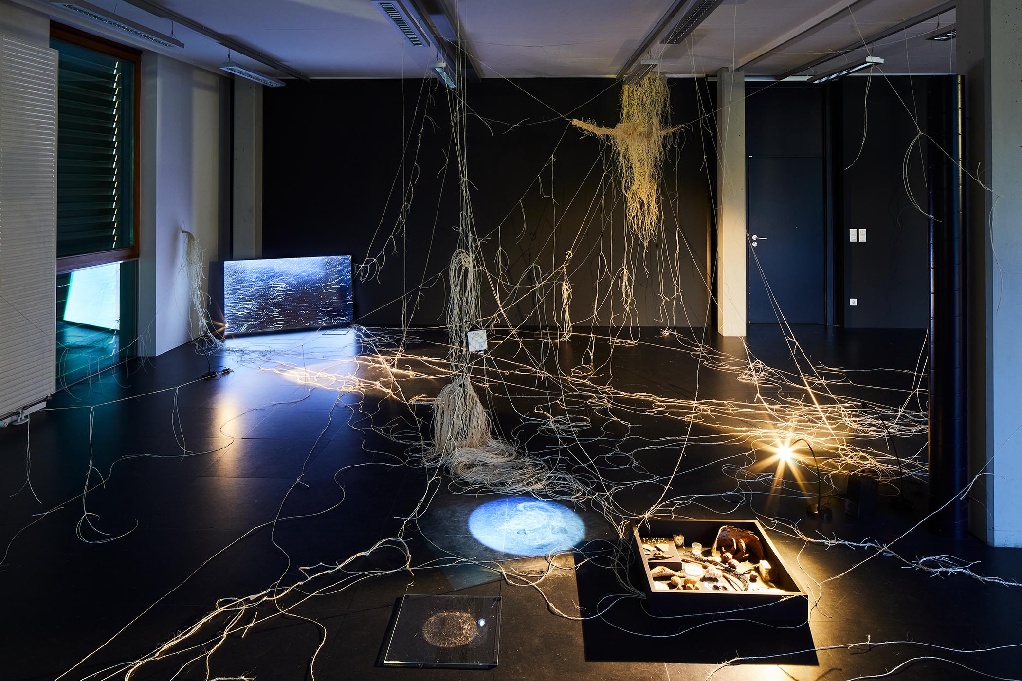 Interbeing, Installation im Kunstraum Lakeside, Klagenfurt, 2022. Foto: ©Johannes Puch